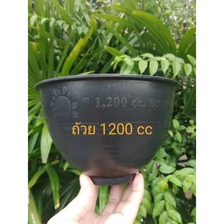 ถ้วยรองน้ำยางพาราอย่างดีขนาด 1000 ซีซี,1200 ซีซี,1500 ซีซี มีหลายสีให้เลือก และลวดรัดต้นยางพารา(แพ็คละ 100 ใบ)