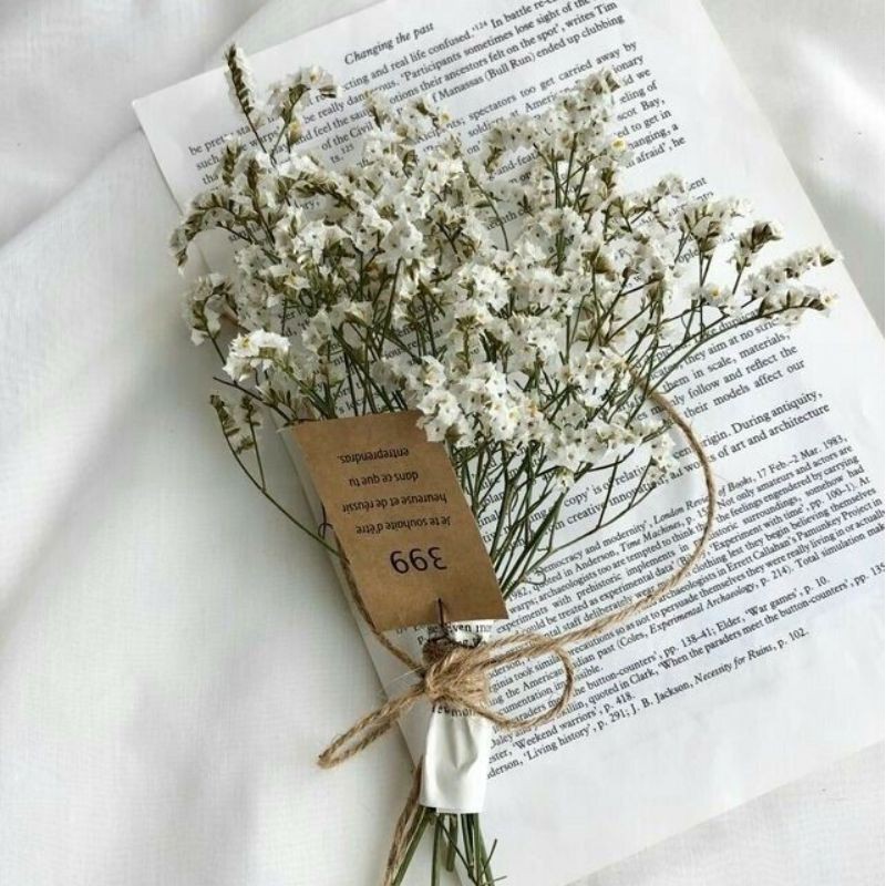 พร้อมส่ง ดอกไม้แห้ง ก้านสั้น ราคาเดียว 39  โปรฯ10จ่าย9!!! ทำของชำร่วย ของขวัญ ปัจฉิม วาเลนไทน์ ตกแต่งบ้าน คาเฟ่ มินิมอล