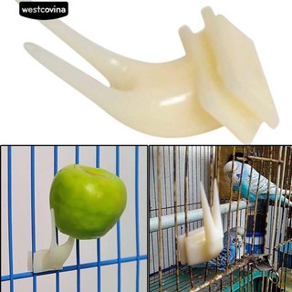 กรงนกใส่พลาสติกผลไม้ส้อมปลานิลหนูแฮมสเตอร์ Food Feeding Tool Toy