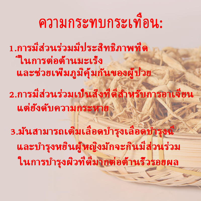 รากโสม 人参须50กรัม-200gกรัม รากโสมแห้ง - รูปที่ 5