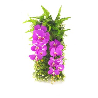 Rose Bee Vertical Garden Rain Forest (purple orchid)