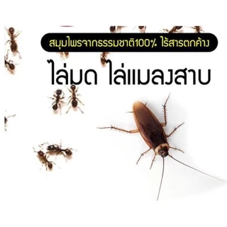 ไล่แมลงวัน(1ลิตร) แมลหวี่ ในถังขยะ ในห้องครัว (ML-1) ตัดวงจรพาหะนำเชื้อโรค ออแกนิคสมุนไพร