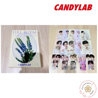 (แท้/พร้อมส่ง/อ่านรายละเอียดก่อนสั่งซื้อ) Candylab NCT DREAM FULL BLOOM Set