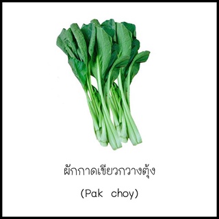 ผักกาดเขียวกวางตุ้ง (Pak choy) 400 เมล็ด [10 แถม 1 คละได้]