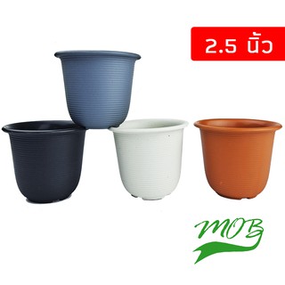 กระถางเกลียว 2.5 นิ้ว กระถางพลาสติกเนื้อหนา ทรงสูง ทรงจีน กระถางลายเส้น กระถางแคคตัส