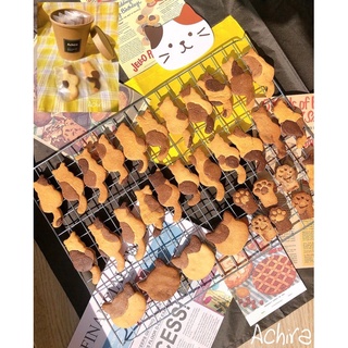 (รอบส่งวันที่ 15/09/23) Achira Calico Cat Butter Cookies | คุ้กกี้แมวสามสี