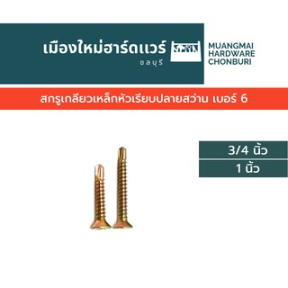 สกรูปลายสว่าน หัว F เรียบ เบอร์ 6 ความยาวต่างๆ บรรจุ 50 ตัว (ตะปูเกลียว) สกรูยิงเหล็ก สกรูสีทอง สกรูสว่าน