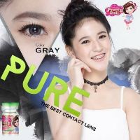 คอนแทคเลนส์ Pure / Purely / vivi / Pure Alice