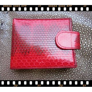 กระเป๋าสตางค์งูทะเล  sea snake  wallet  red  color