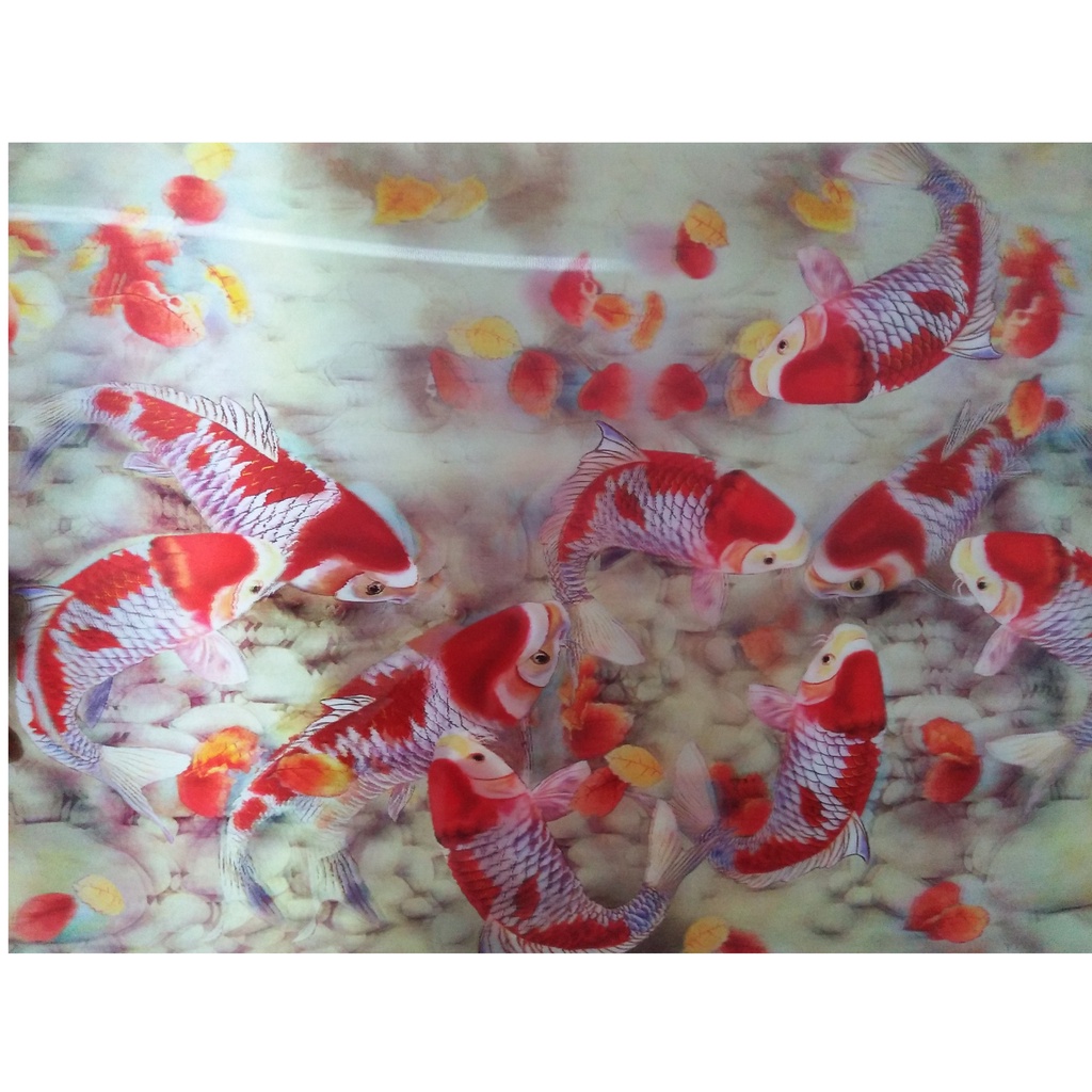 ภาพ 3 มิติ ปลาคราฟ 9 ตัวเป็นที่นิยมมากสำหรับเสริมฮวงจุ้ยเป็นสัญลักษณ์ของความร่ำรวยมั่งคั่งเงินทองผลกำไรจากการค้าขาย - รูปที่ 4