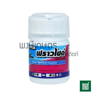 ฟราวไซด์ 100ml สารสามัญ: ฟลูอะซินาม ป้องกันและกำจัดเชื้อราในพืช ใบไหม้ ใบจุด แอนแทรคโนส และโรครากเน่า พงษ์เกษตรอุตรดิตถ์