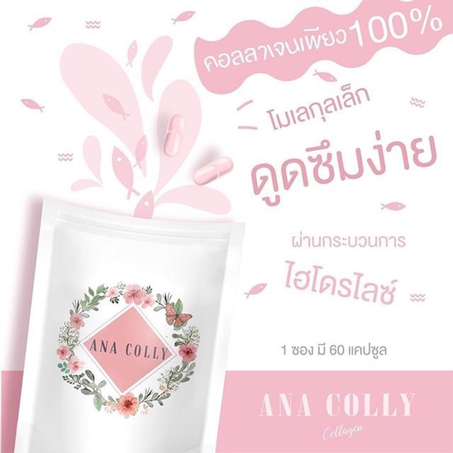 แบรนด์ อนาคอลลี่ (Anacolly) - mymelodyshops - ThaiPick