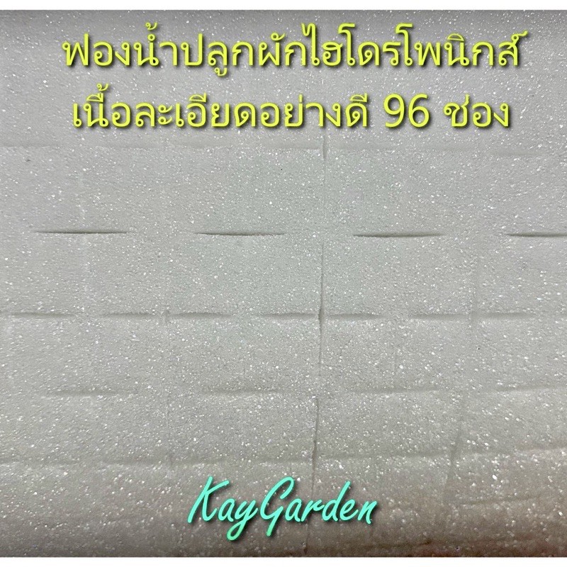 ฟองน้ำปลูกผัก(เเบบมีขอบ, 96 ช่อง)ฟองน้ำเพาะเมล็ด ปลูกผักไฮโดรโปนิกส์ เนื้อละเอียดแบบมีขอบ บากกลางพร้อมใช้ 1เเผ่น