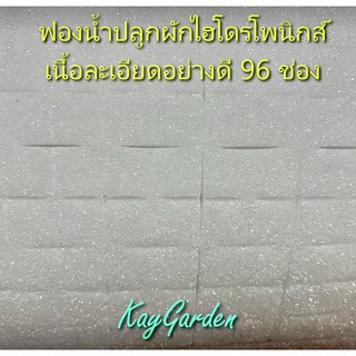 ฟองน้ำปลูกผัก(เเบบมีขอบ, 96 ช่อง)ฟองน้ำเพาะเมล็ด ปลูกผักไฮโด…