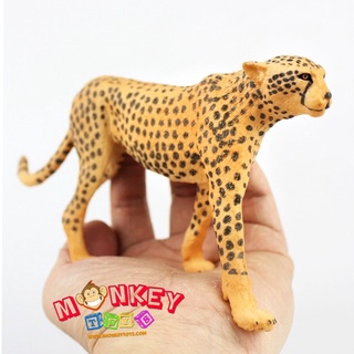 Monkey Toys - โมเดลสัตว์ เสือดาว เสือชีตาห์ ขนาด 19.00 CM (จากหาดใหญ่)