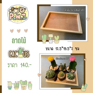 [พร้อมส่ง] ถาดไม้ กะบะไม้ ใส่แคคตัส กระบองเพชร ขนาด 12.5x19.5x2cm. รหัส BOXCT03