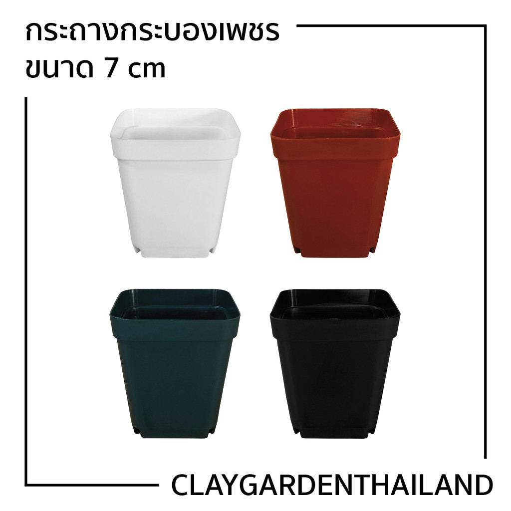 กระถางกระบองเพชร ขนาดกลาง