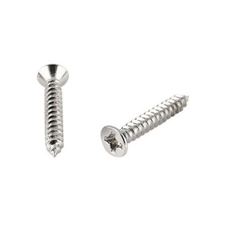 อุปกรณ์ยึดติด สกรูเกลียวปล่อย TF 4X3/4 นิ้ว 25 ตัว Screws, Nuts &amp; Washers