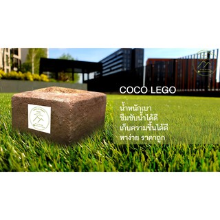 ขุยมะพร้าวอัดก้อน เพาะปลูกแทนดิน รักษาความชุ่มชื้น ผ่านการล้…