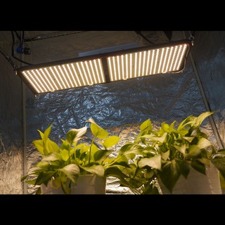 ไฟ grow light bar