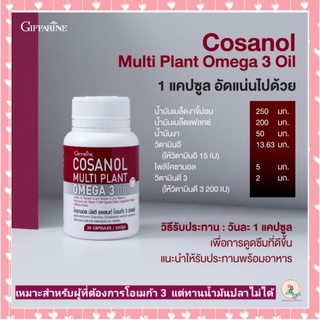 น้ำมัน เมล็ดงาขี้ม่อน น้ำมันเมล็ดแฟลกซ์ omega 3 ทดแทนน้ำมันปลา บรรเทาข้อเสื่อม เผาผลาญไขมัน