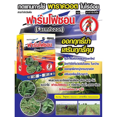 ยาฆ่าหญ้า ในไร่อ้อย ฟาร์มโฟซอน ไดยูรอน + เฮกซะซิโนน คุมและฆ่าในไร่อ้อย สารกำจัดวัชพืช พ่นได้ 2.5 ไร่