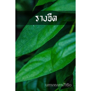 ต้นรางจืด ขับสารพิษตกค้าง พิษสารเสพติด รากเดินพร้อมปลูก园艺/芹菜/通心菜/儿童/头饰/生菜/种子/文胸/帽子/鲜花/ VTDU