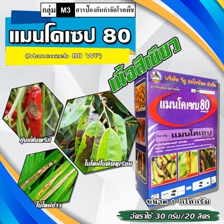 แมนโคเซบ 80% WP(กล่องม่วง)สีเขียวขนาด 1 กก. ป้องกันกำจัดโรคพืช เช่น โรคใบจุด โรคใบจุดสีม่วงในหอม โรคใบจุดตากบ โรคใบจุดตา