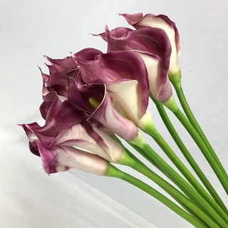 OrientalFineArt คาล่าลิลลี่ตูม  Calla lily-plum ดอกไม้เกรดเอสวยเสมือนจริง(CM-01025 Plum)