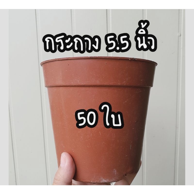 กระถาง 5.5 นิ้ว 50 ใบ กระถางยืดหยุ่น กระถางต้นไม้พลาสติก