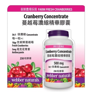 🇨🇦 Webber Naturals ☘️ แครนเบอร์รี่สกัดของแท้ 250แคปซูล‼️ Cranberry Concentrate 500g อาหารเสริมเพื่อสุขภาพ 💯💪🏻