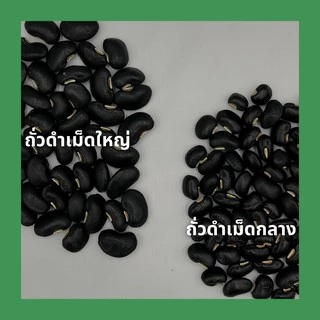 ถั่วดำเม็ดใหญ่ ดำจัมโบ้ คัดพิเศษ ถั่วดำไทย 500กรัม Jumbo black bean
