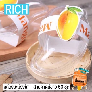 🛍️ส่งทุกวัน ส่งไว🔥 กล่องมะม่วง กล่องชีสเค้กมะม่วง กล่องทรงมะม่วง กล่องพายมะม่วง ครบชุด กล่อง+สายคาด 50 ชุด