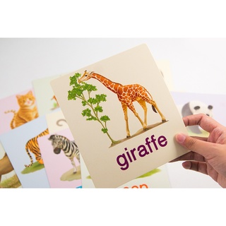 แฟลชการ์ดใบใหญ่ 🦒 Big Card 🦒 การ์ดคำศัพท์ animal 🦒 หนูชอบสัตว์น่ารัก 🦒 บัตรคำ 🦒 ศัพท์พื้นฐานเด็ก 🦒