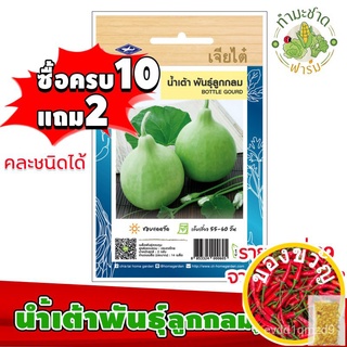 เมล็ดอวบอ้วน100%，ไทยในสต็อกพร้อมส่ง[10แถม2] เจียไต๋ เมล็ดพันธุ์ น้ำเต้าพันธุ์ลูกกลม Round Bottle gourd  ประมาณ 14 เมล็ด