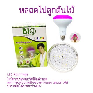 หลอดไฟปลูกต้นไม้ ลดการปล่อยมลพิษของคาร์บอนไดออกไซด์ ใช้งานได้ถึง 25,000 ชั่วโมง