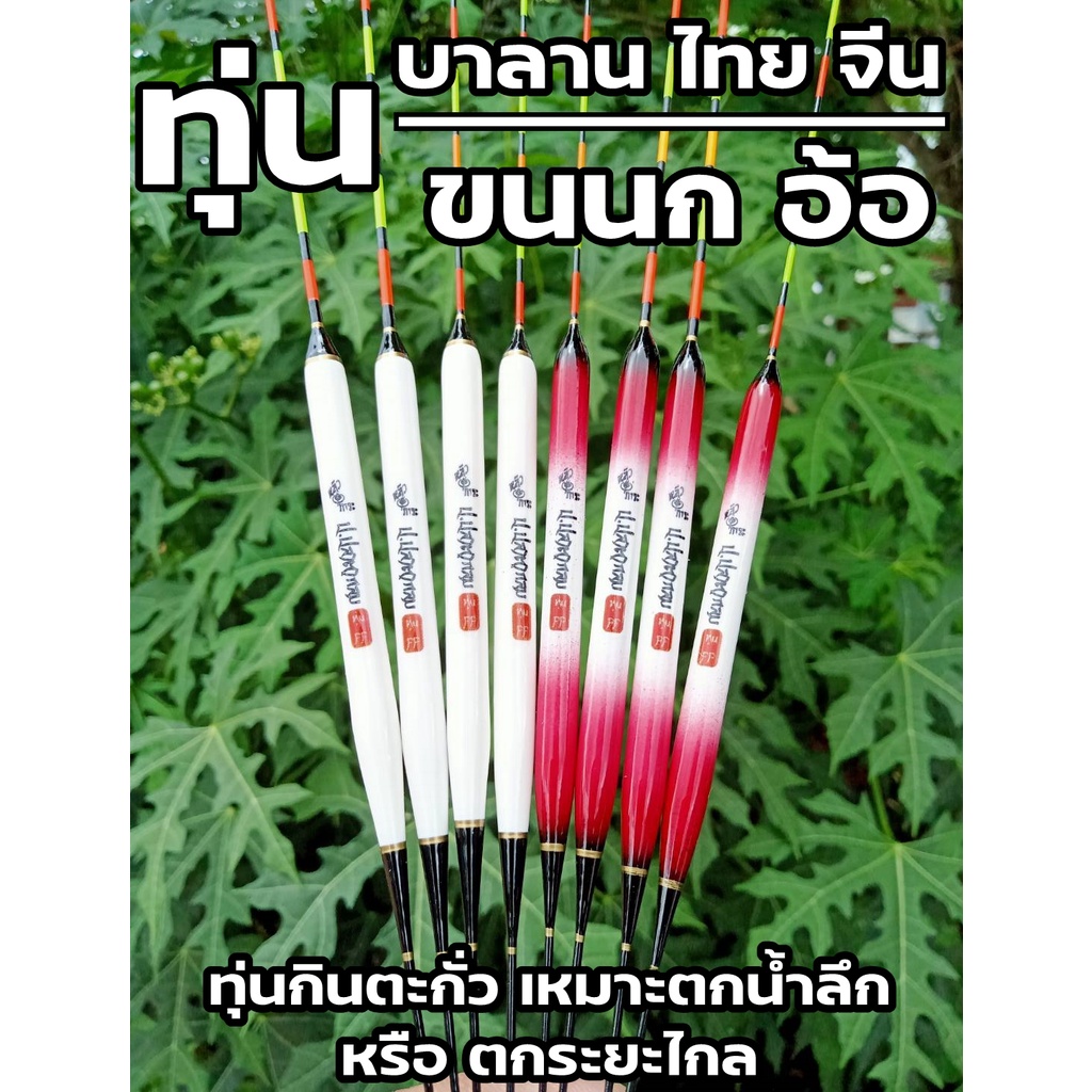 ทุ่นชิงหลิว บาลานซ์ไทย ตกสไตล์จีน เหมาะกับน้ำลึก เล่นระยะไกล
