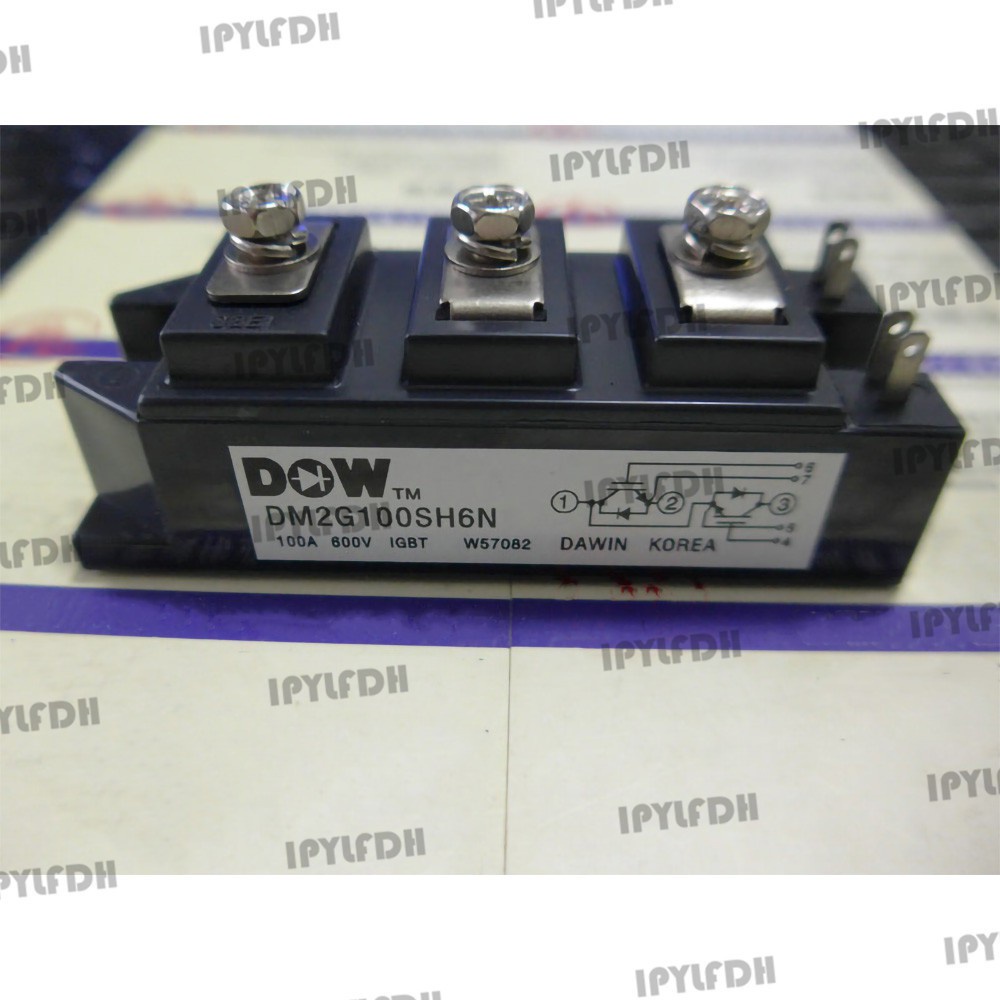 DM2G100SH6N DM2G100SH6A โมดูลไฟ IGBT