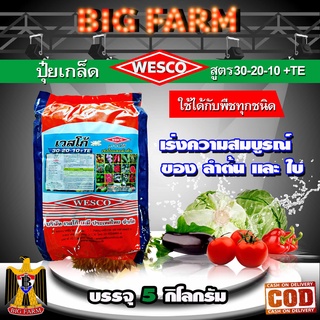 บรรจุ 5 กิโลกรัม WESCO ปุ๋ย 30-20-10 +TE (ธาตุรองเสริม) ปุ๋ยเกล็ด เวสโก้ เร่งความสมบูรณ์ของลำต้นและใบ