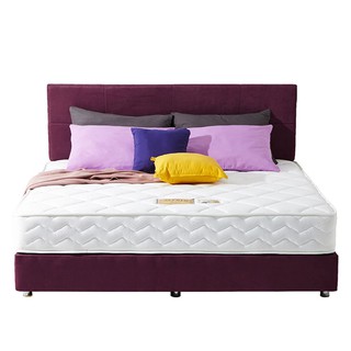 ที่นอน ที่นอน ALFRED 6 MIDAS COTTON KNIT ที่นอน ห้องนอนและเครื่องนอน MATTRESS ALFRED 6 MIDAS COTTON KNIT