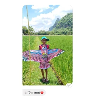 🦅(พร้อมส่ง) ว่าว นกอินทรีย์ ขนาดกลาง 150-160 ซม ว่าวไล่นก ว่าวไล่ศัตรูพืช