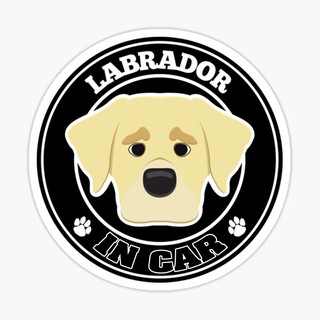 สติ๊กเกอร์ติดรถ แต่งรถ สติ๊กเกอร์ แม่เหล็กติดรถยนตร์ สติ๊กเกอร์หมา Labrador in Car  - DGC10