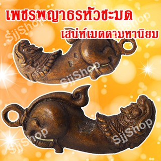 ปลัดหัวชะมดเพชรพญาธร หรือ ทิพยาธร จัดส่ง 1-3 วันได้รับสินค้า