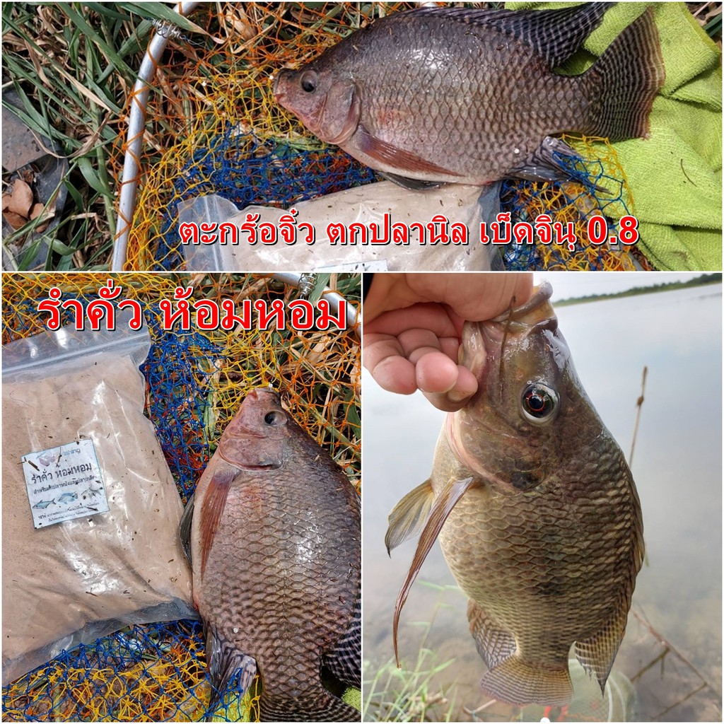 รำคั่ว รำละเอียด รำตกปลา รำคั่วห้อมหอม สำหรับตกปลาหนังและปลาเกล็ด
