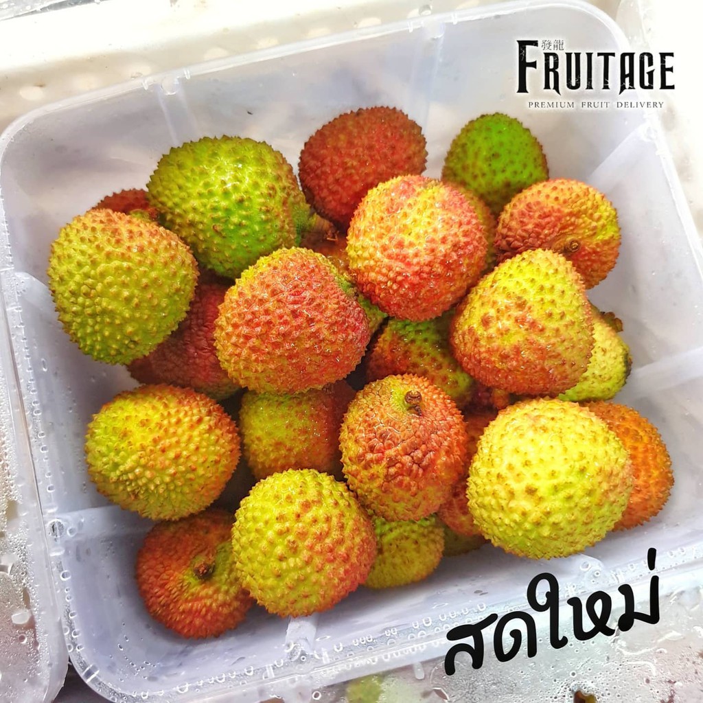 ลิ้นจี่สนมยิ้ม ลิ้นจี่กุ้ยบี้ Lychee (CHN) (1แพค/1กก) ลิ้นจี่เฟยจื่อเซี่ยว ลิ้นจี่เปลือกเขียว เปลือกแดง ลิ้นจี่จีนนำเข้า