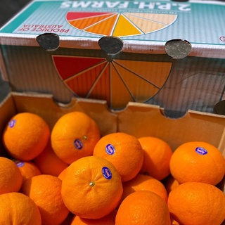 TOP-1ส้มแมนดาริน ออสเตรเลีย Mandarin Orange (1แพค) (AUSTRALIA) ~ลดพิเศษ~ ส้มพันธุ์ที่อร่อยที่สุด หวานอมเปรี้ยว ส้มออสเตร