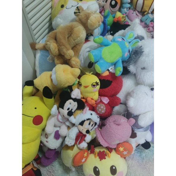 สินค้าในไลฟ์สด k'onuma