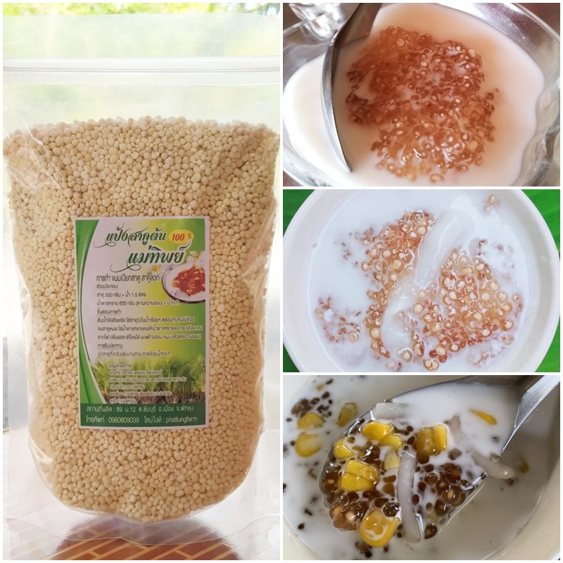 สาคูต้น สาคูพัทลุง สาคูแท้ ออร์แกนิค100% ขนมจากแดนใต้ วิธีทำง่าย หอม อร่อย กวนกับอะไรก็เข้ากัน