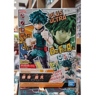 Entry Grade Izuku Midoriya