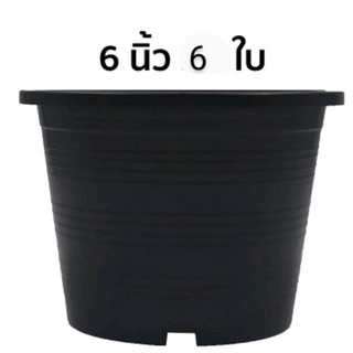 กระถางต้นไม้พลาสติกสีดำ จำนวน 6 ใบ